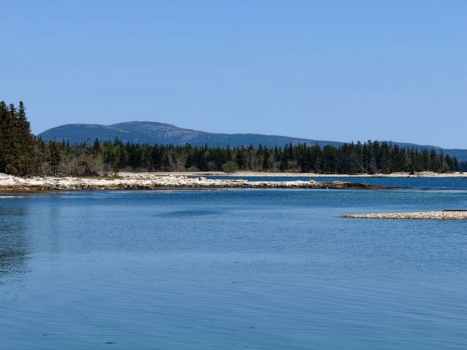 View of Bennet Cove and Cadillac Mountain