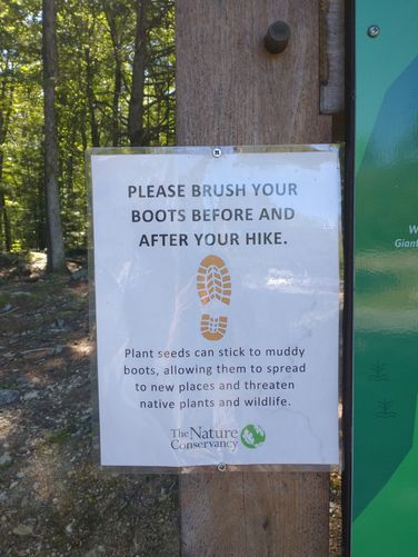 Please clean your shoes