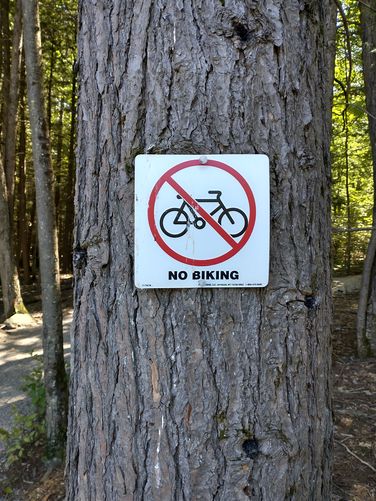 No Bicycles allowed