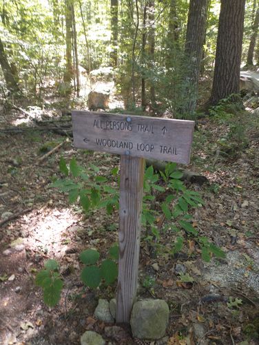 Engraved Sign marks the start of the trail