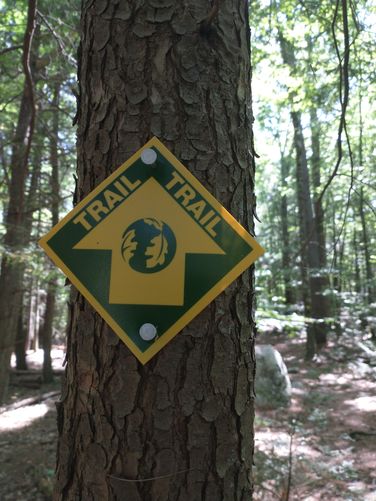Yellow and Green Trail Blaze marker