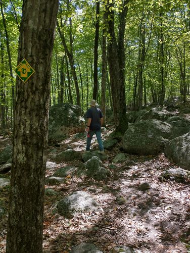 Trail substrate can be rocky 