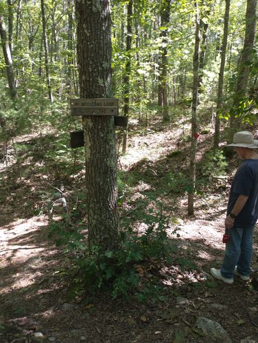 Trail junction signage