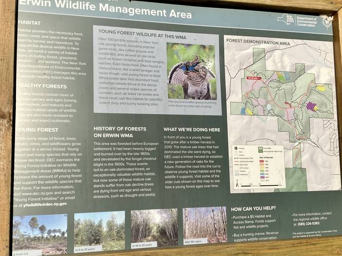 Erwin Wildlife Management Area trail map and info board