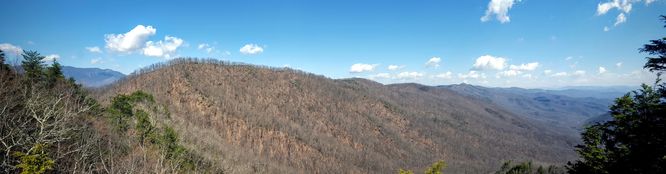 Picture 2 of Woods Mountain Trail Hike 031616