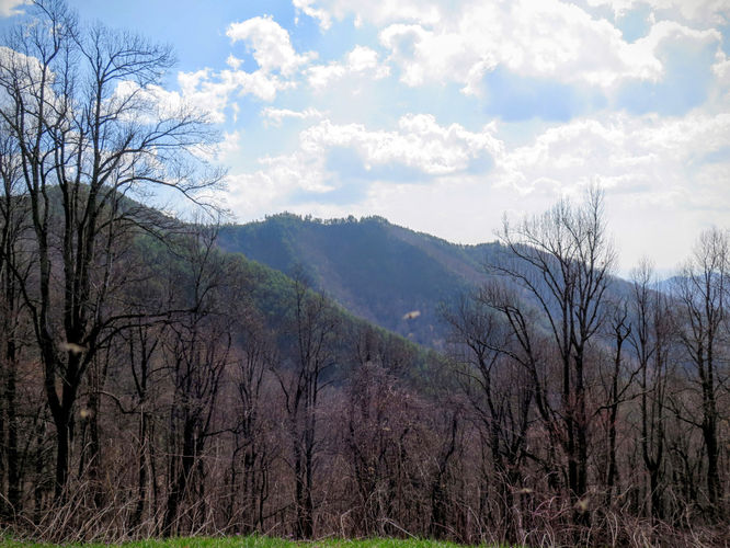 Picture 4 of Woods Mountain Trail Hike 031616