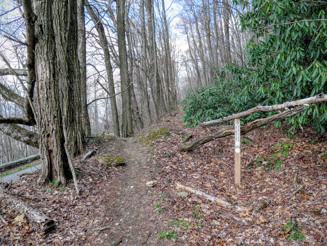 Picture 6 of Woods Mountain Trail Hike 031616