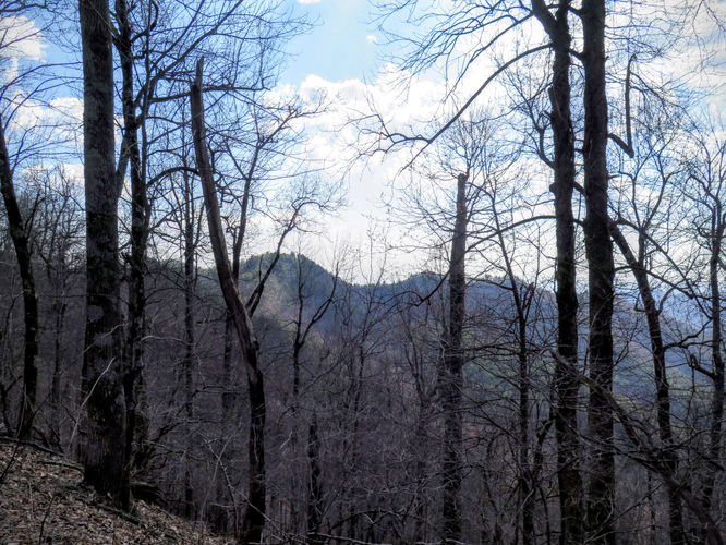 Picture 9 of Woods Mountain Trail Hike 031616
