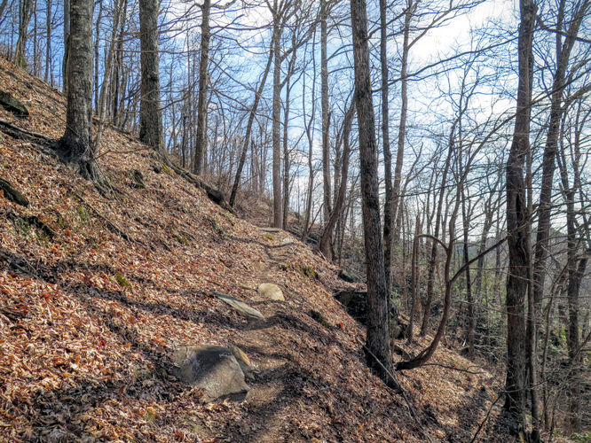Picture 11 of Woods Mountain Trail Hike 031616