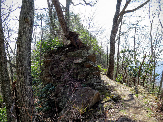Picture 13 of Woods Mountain Trail Hike 031616