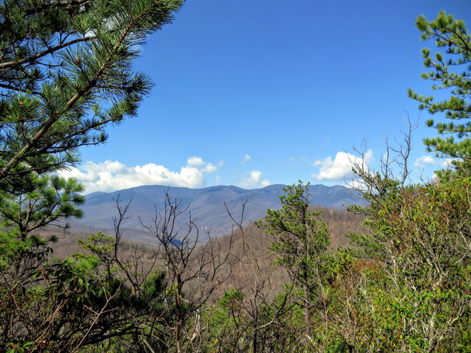 Picture 16 of Woods Mountain Trail Hike 031616