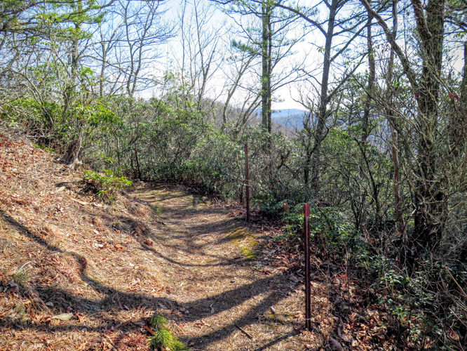 Picture 17 of Woods Mountain Trail Hike 031616