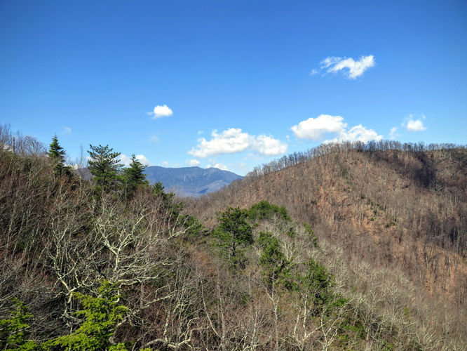 Picture 21 of Woods Mountain Trail Hike 031616