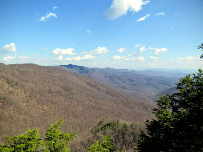 Picture 22 of Woods Mountain Trail Hike 031616
