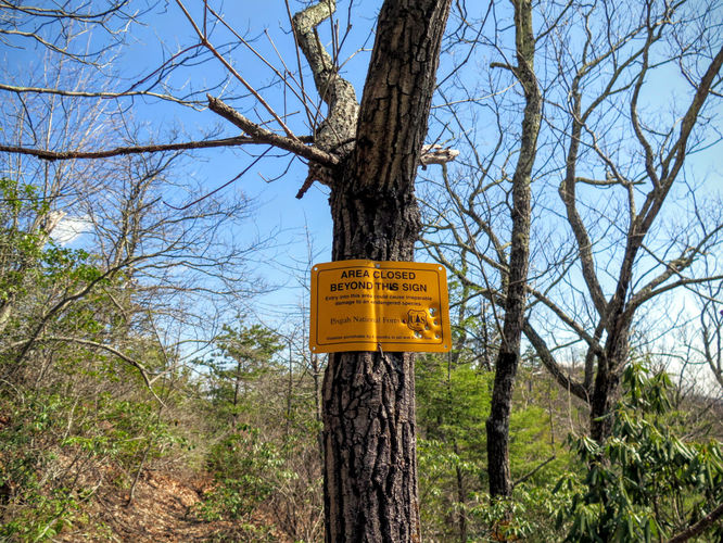 Picture 24 of Woods Mountain Trail Hike 031616