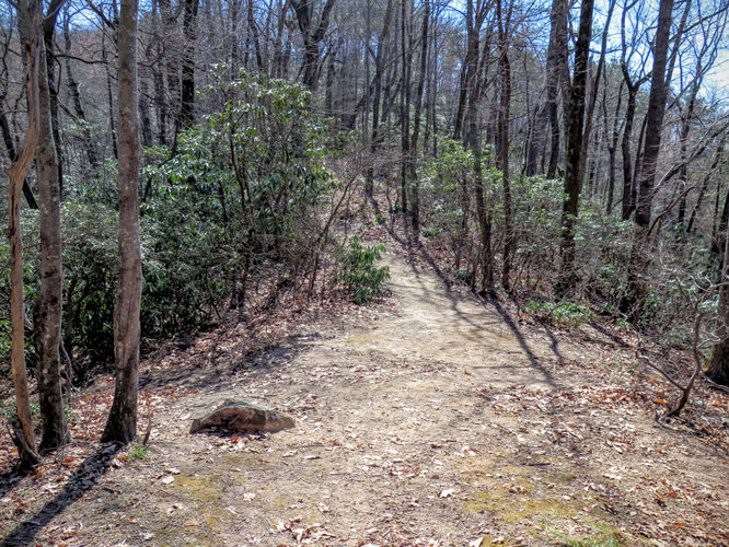 Picture 30 of Woods Mountain Trail Hike 031616