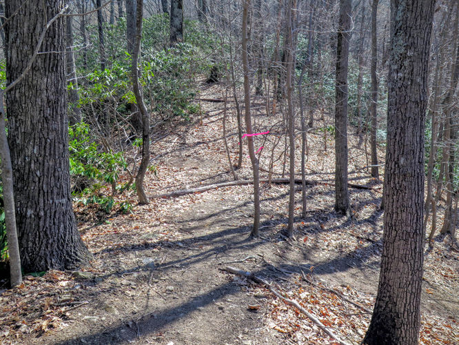 Picture 31 of Woods Mountain Trail Hike 031616