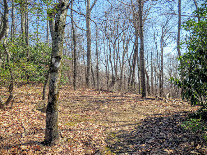 Picture 32 of Woods Mountain Trail Hike 031616