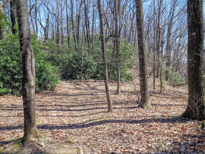 Picture 35 of Woods Mountain Trail Hike 031616