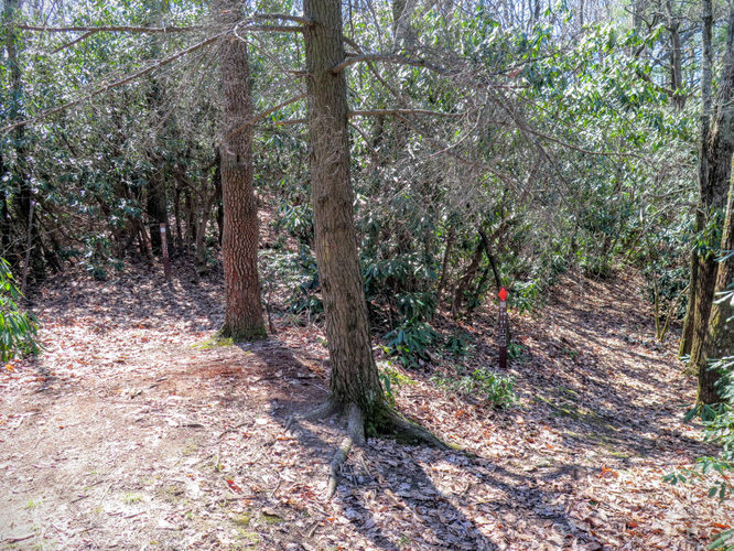 Picture 37 of Woods Mountain Trail Hike 031616