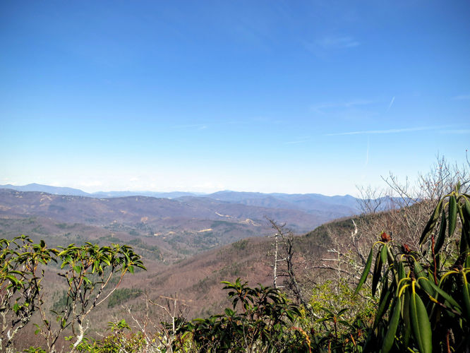 Picture 39 of Woods Mountain Trail Hike 031616