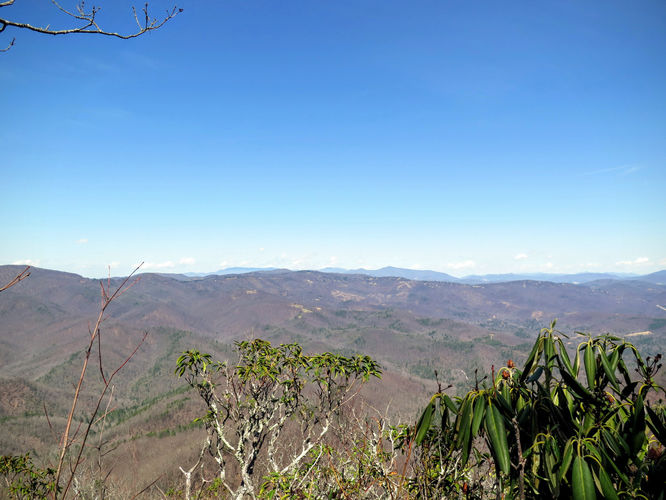 Picture 40 of Woods Mountain Trail Hike 031616