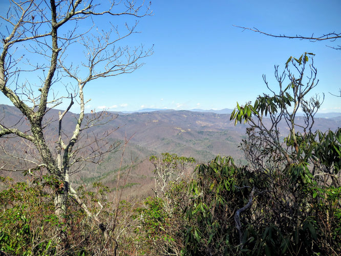 Picture 41 of Woods Mountain Trail Hike 031616