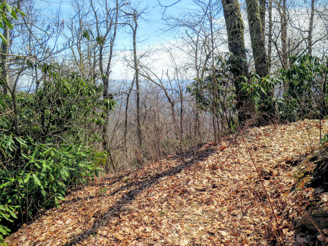 Picture 42 of Woods Mountain Trail Hike 031616
