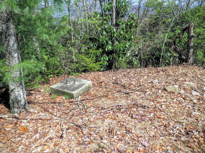 Picture 44 of Woods Mountain Trail Hike 031616