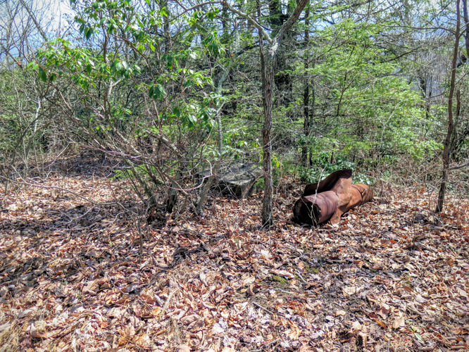 Picture 45 of Woods Mountain Trail Hike 031616