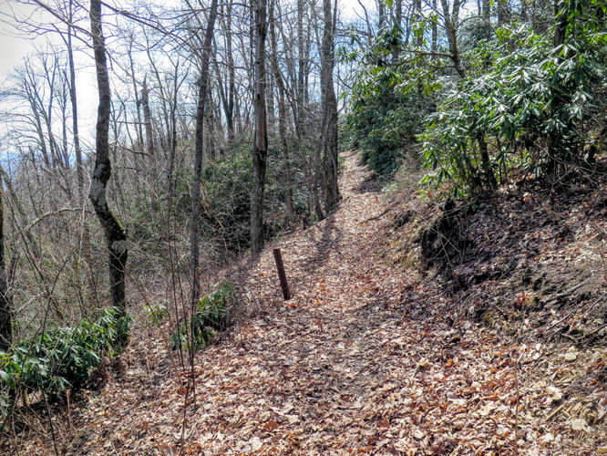 Picture 46 of Woods Mountain Trail Hike 031616