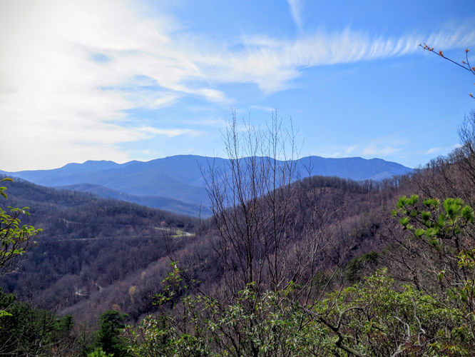 Picture 47 of Woods Mountain Trail Hike 031616