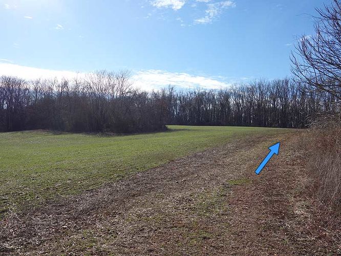 Picture 9 of Woodstock Equestrian Park Loop 010114