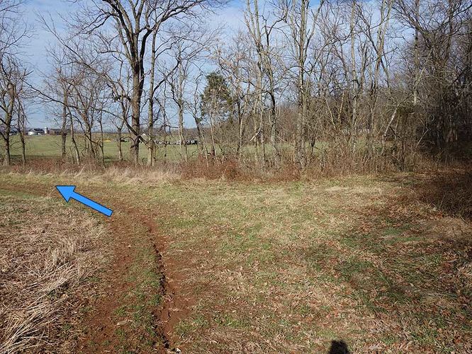 Picture 13 of Woodstock Equestrian Park Loop 010114