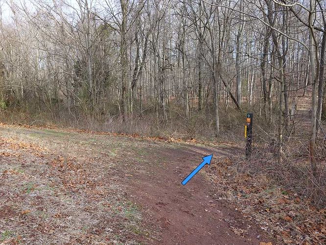 Picture 21 of Woodstock Equestrian Park Loop 010114