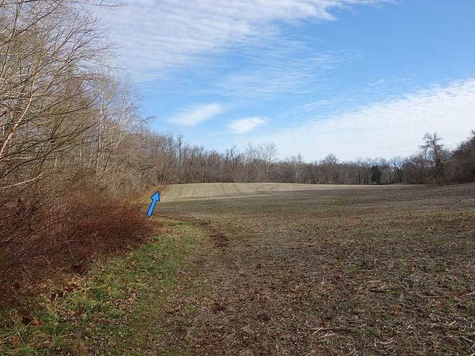 Picture 23 of Woodstock Equestrian Park Loop 010114