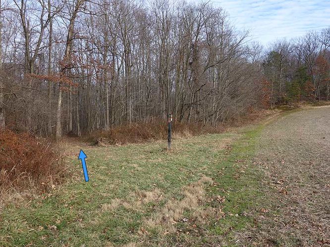 Picture 27 of Woodstock Equestrian Park Loop 010114