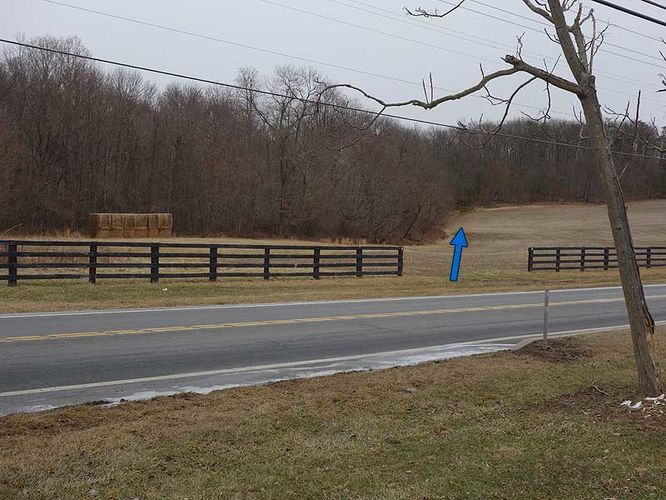 Picture 2 of Woodstock Equestrian Park Loop 020814