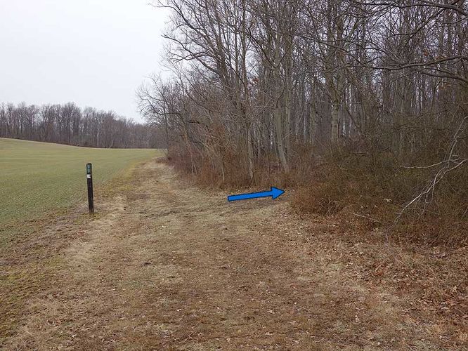 Picture 7 of Woodstock Equestrian Park Loop 020814