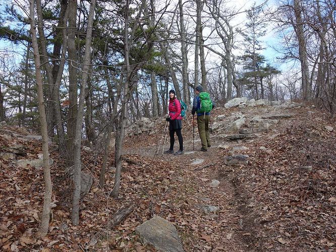 Picture 8 of Woodstock Tower Hike 012817