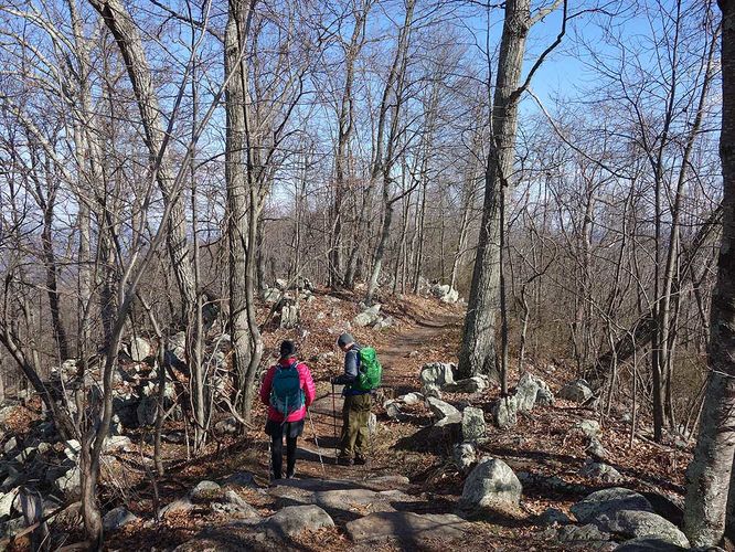Picture 4 of Woodstock Tower Hike 012817