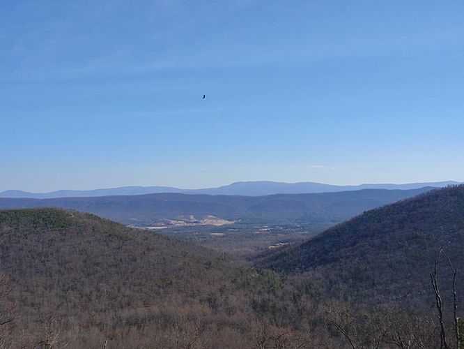 Picture 8 of Woodstock Tower Hike 020709
