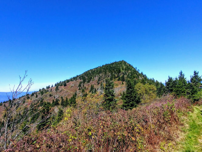 Picture 4 of Woody Ridge Trail Hike 100117