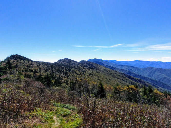 Picture 5 of Woody Ridge Trail Hike 100117