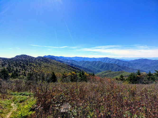 Picture 6 of Woody Ridge Trail Hike 100117