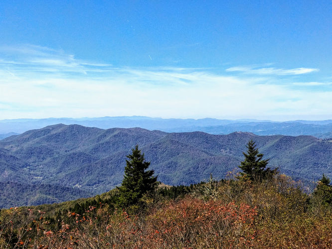 Picture 7 of Woody Ridge Trail Hike 100117