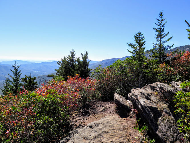 Picture 21 of Woody Ridge Trail Hike 100117