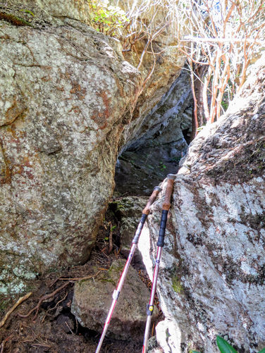 Picture 34 of Woody Ridge Trail Hike 100117