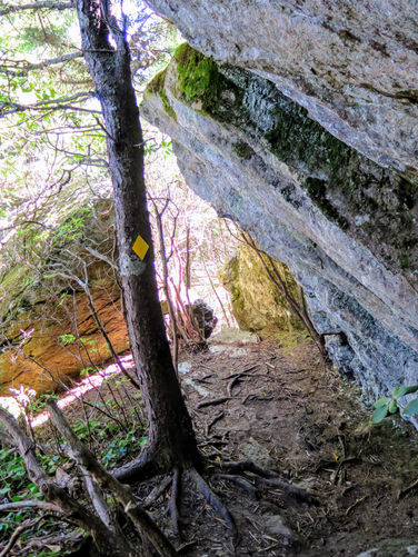 Picture 35 of Woody Ridge Trail Hike 100117