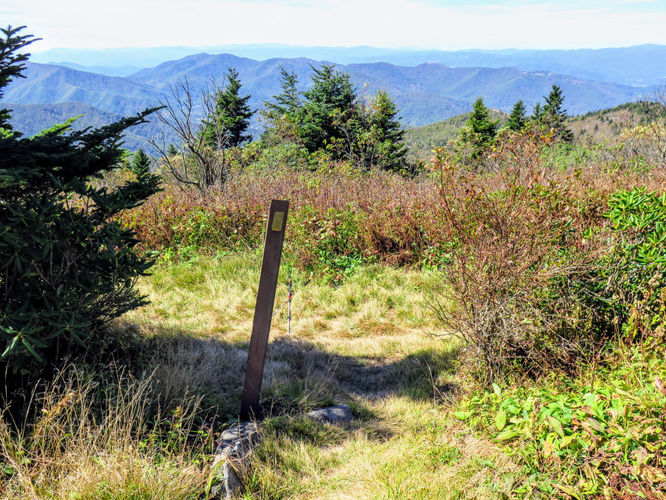 Picture 36 of Woody Ridge Trail Hike 100117